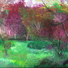 The_bush_oil_on_canvas_70x43_mdshahab_thumb