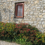 Img_0927_card