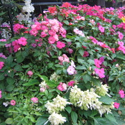 Img_0932_card
