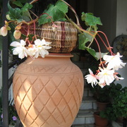 Img_0929_card