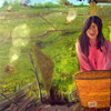 After_harvest_oil_on_canvas_101x80_thumb