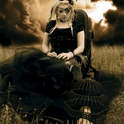 Img_7931_card