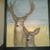 ___________0758_tiny_square