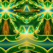 Shaman_card