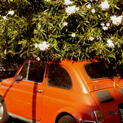 Hiding_from_the_sun_-_campania_2009_card