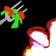 Vegetariana_card