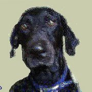 My_dog_card