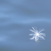 Image3_card