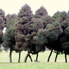 Dsc00459_thumb