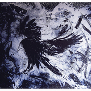 Colindavis_blackcrow_npb_card