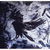 Colindavis_blackcrow_npb_tiny_square