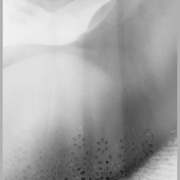 Bodytroughthecurtain8x10bwx4_card