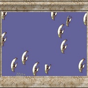 L_altra_faccia_della_luna_card