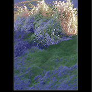 706684-1-herbs-by-the-river-rance_card
