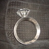 Dsc05724_thumb