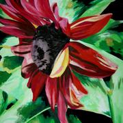 Jpg_800_75web_sunflowers_04_card