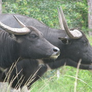 Img_0744_card