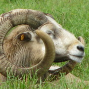 Img_0770_card