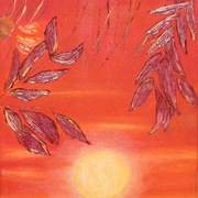 Suoni_del_tramonto_card