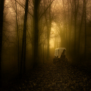 Evening_call_card