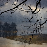 Winter_refrain_card