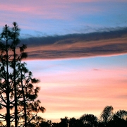 Redskyatdusk_card