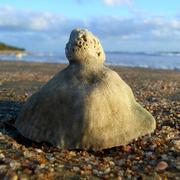 Balgal_beach_coral_3_card