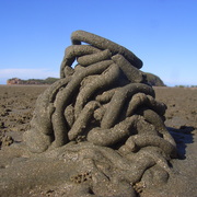 Cape_hillsborough_sand_2_card