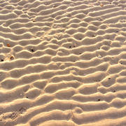 Sand11_card