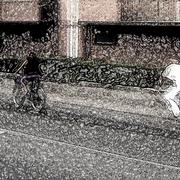 Neve_golosine_033