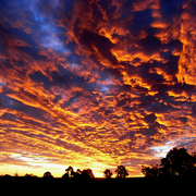 Sunset_3_card