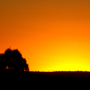 Sunset_4_card