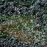 Windscreen_2_card