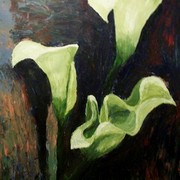 R_calla_card
