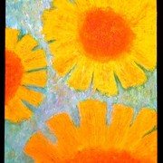 Sundance_card