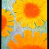 Sundance_thumb