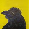 Bobs_photos_135_thumb