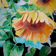 Jpg_800_75web_sunflowers_07_card