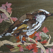 Bird02_card