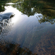 Falling_water_6_card