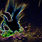 Feeding_fire_card