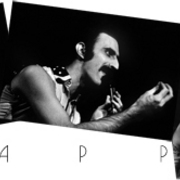 Zappa_card