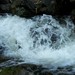 100_0965_square