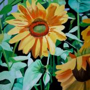 Jpg_800_75web_sunflowers_11_card