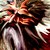 Man_o_war-sm_tiny_square