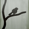 Tree_bird_thumb