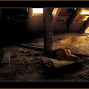 1spaniemaletodofoto_card