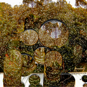 Garden_diary_card