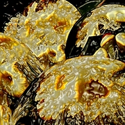 Garden_gum_flowers_card