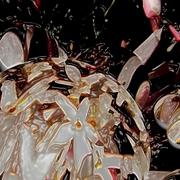 Garden_jasmine_card